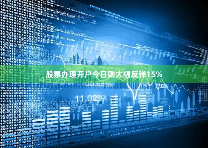 股票办理开户今日则大幅反弹15%